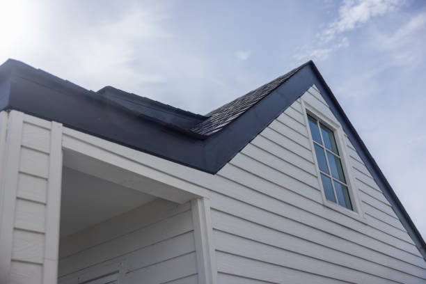 Best Steel Siding Installation  in La Villa, TX